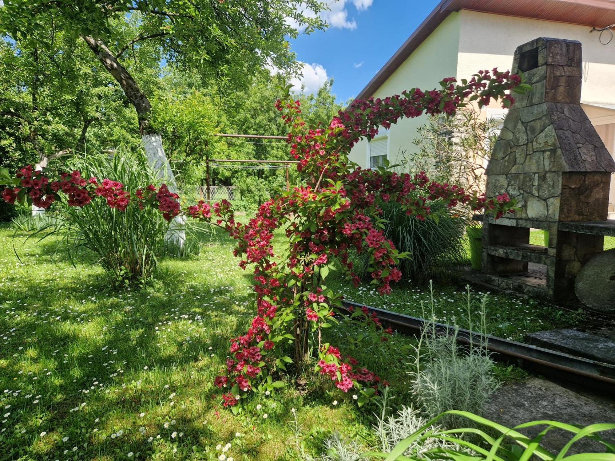 Studio Apartman Marica - Ogulin, Hrvatska エクステリア 写真