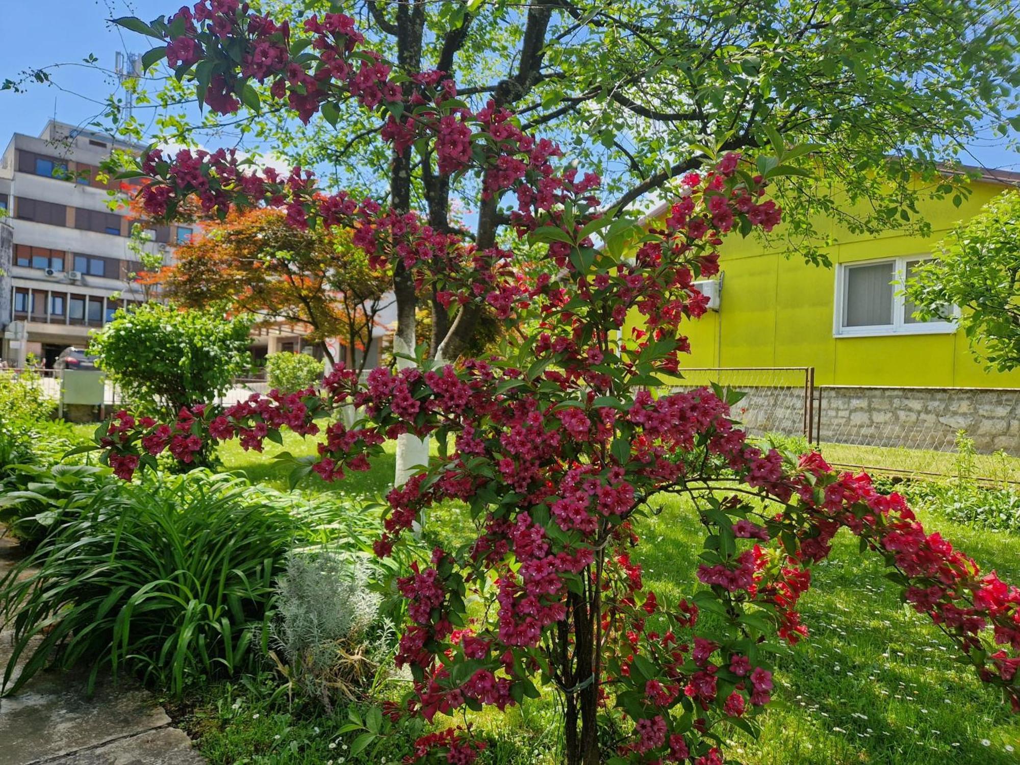 Studio Apartman Marica - Ogulin, Hrvatska エクステリア 写真