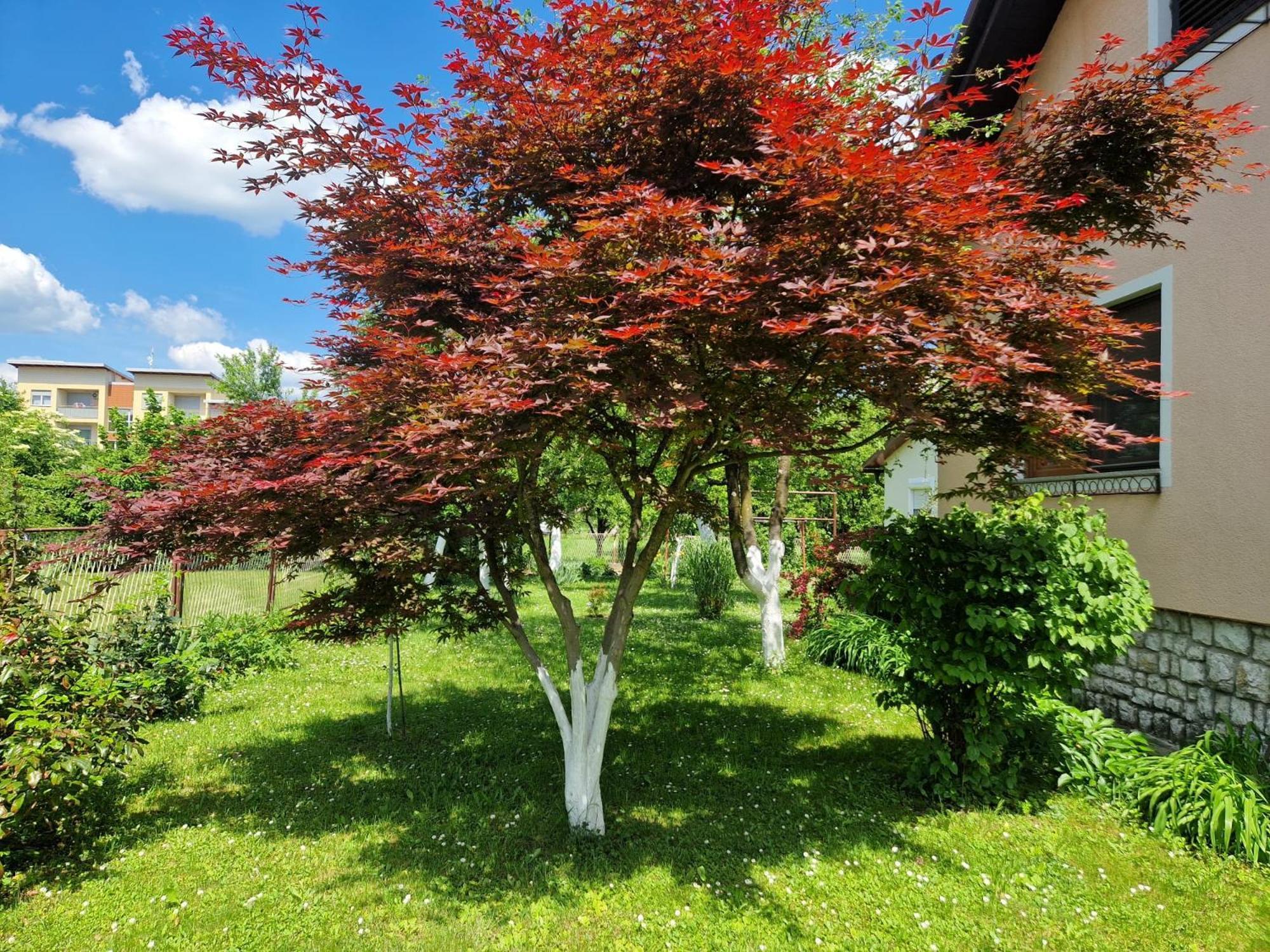 Studio Apartman Marica - Ogulin, Hrvatska エクステリア 写真